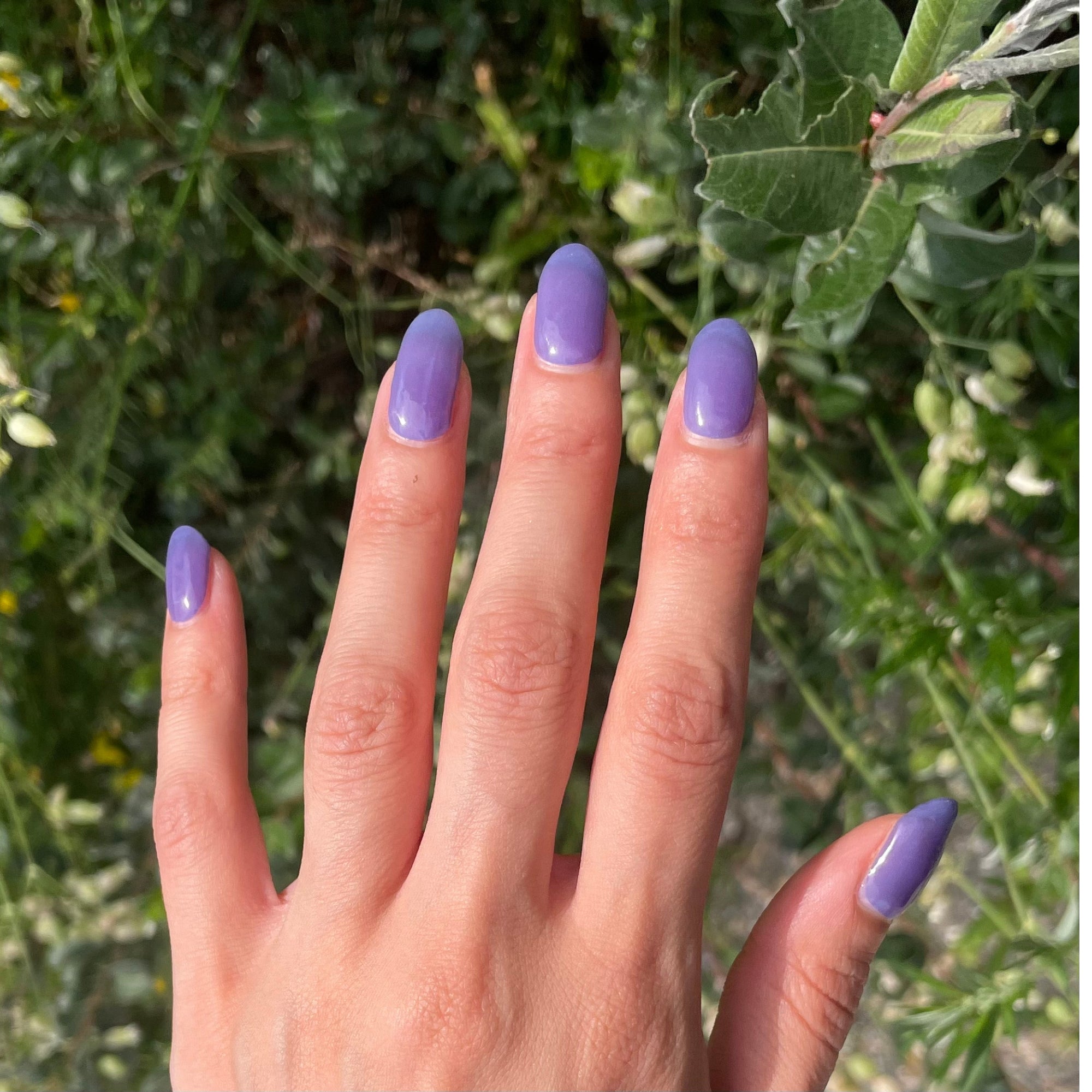 Say It Purple