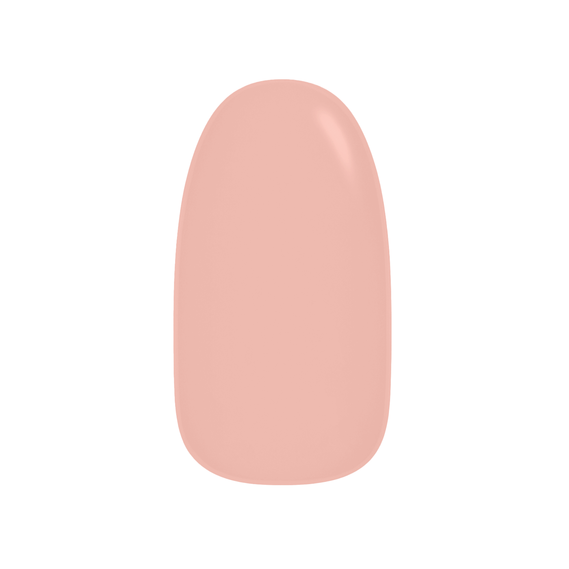 Coral Gloss