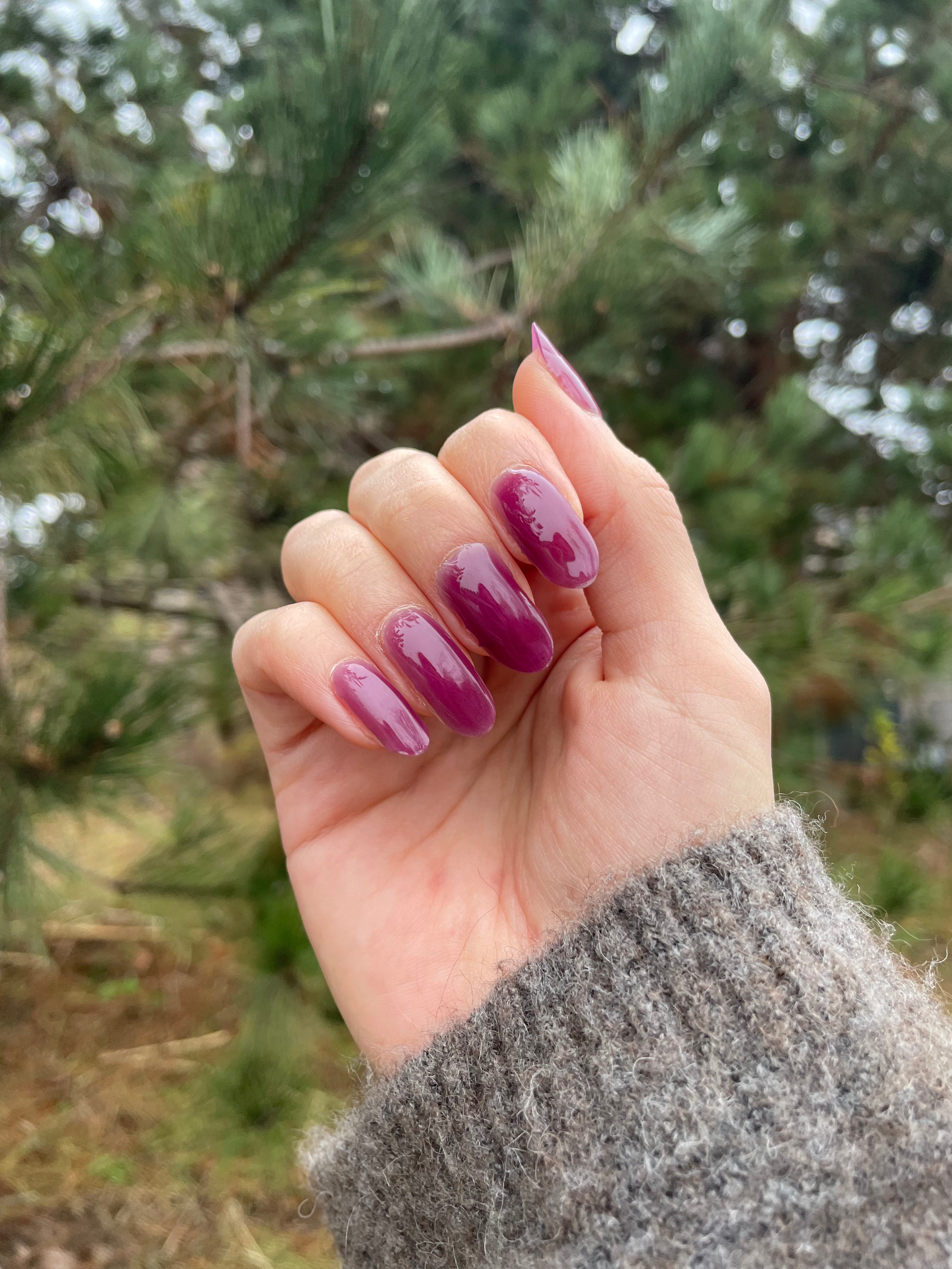 Cherry Burgundy