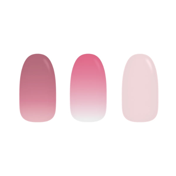 Pink Palette Bundle