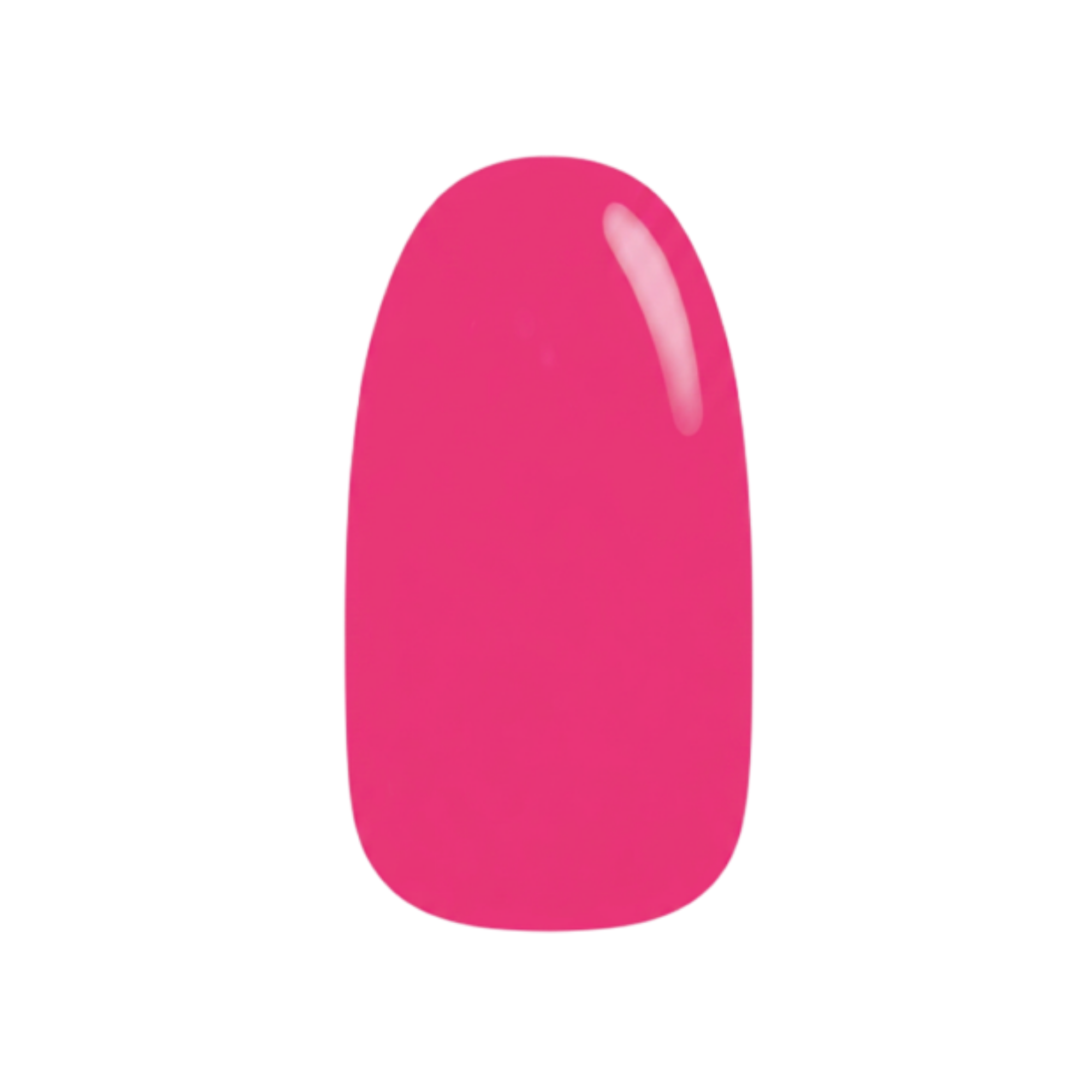 Raspberry