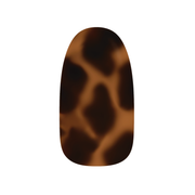 Savanna Drip