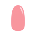 Teddy Pink