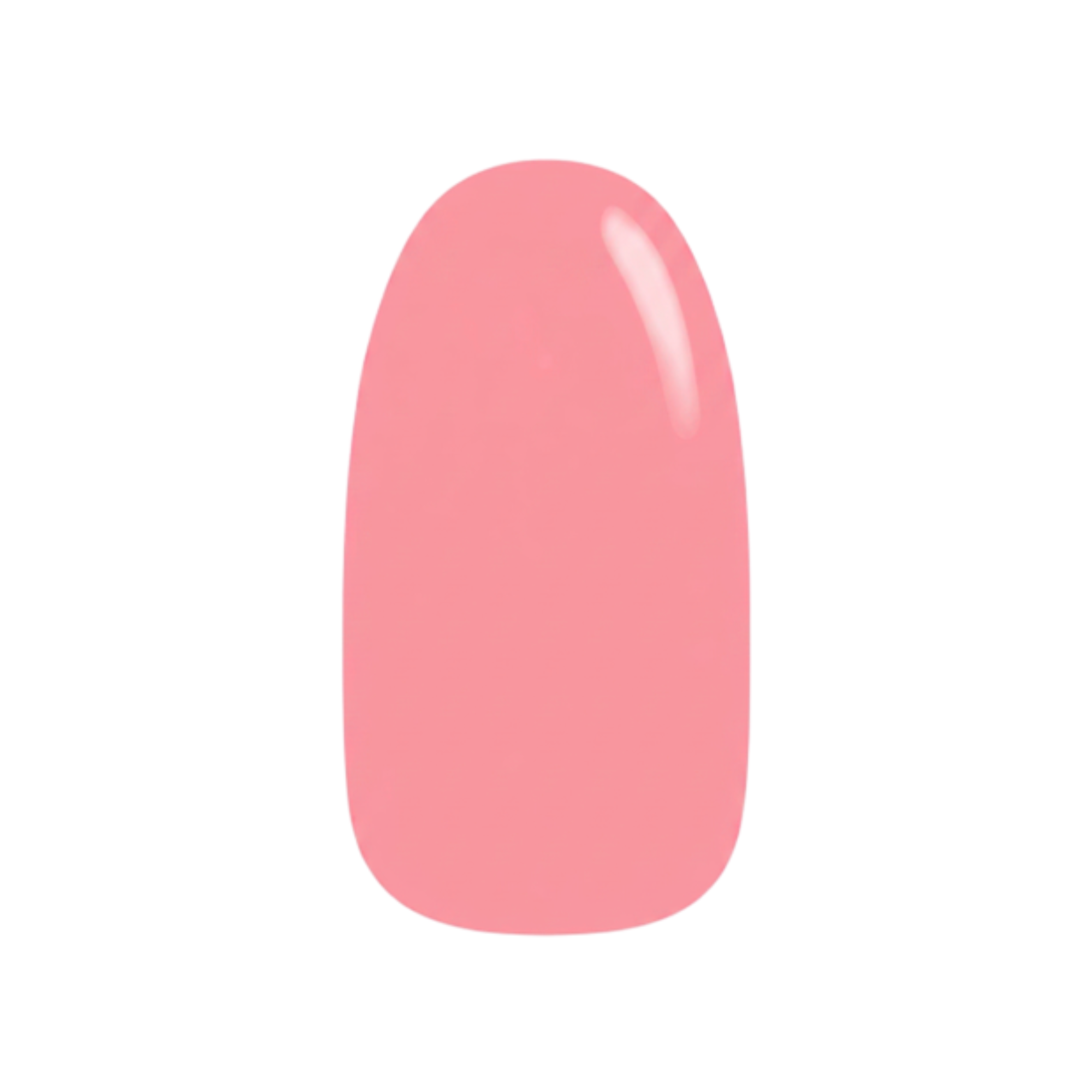 Teddy Pink