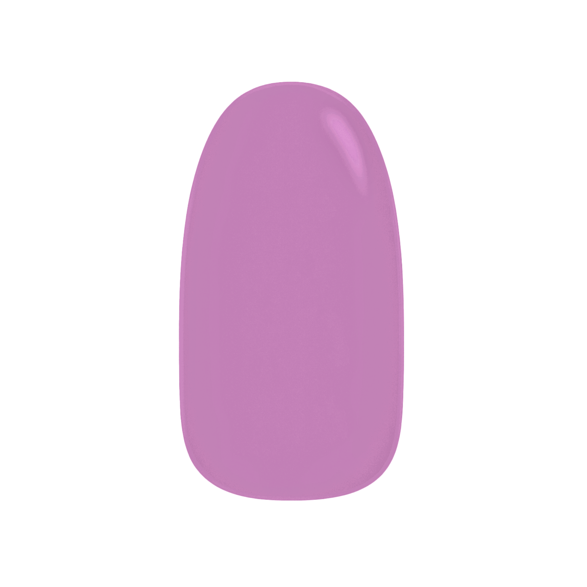 Violet's Choice