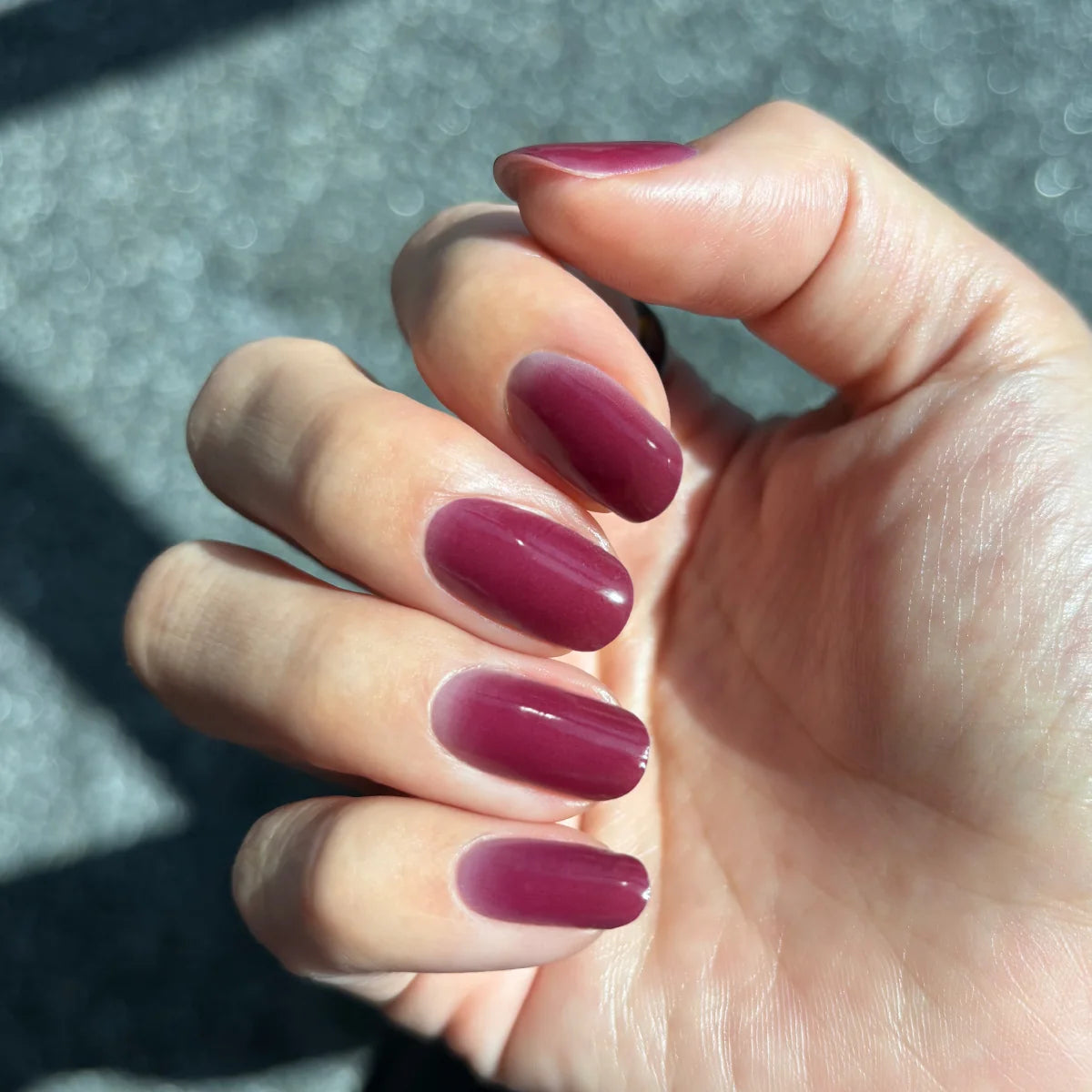 Cherry Burgundy
