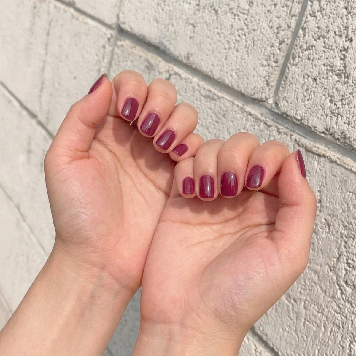 Cherry Burgundy