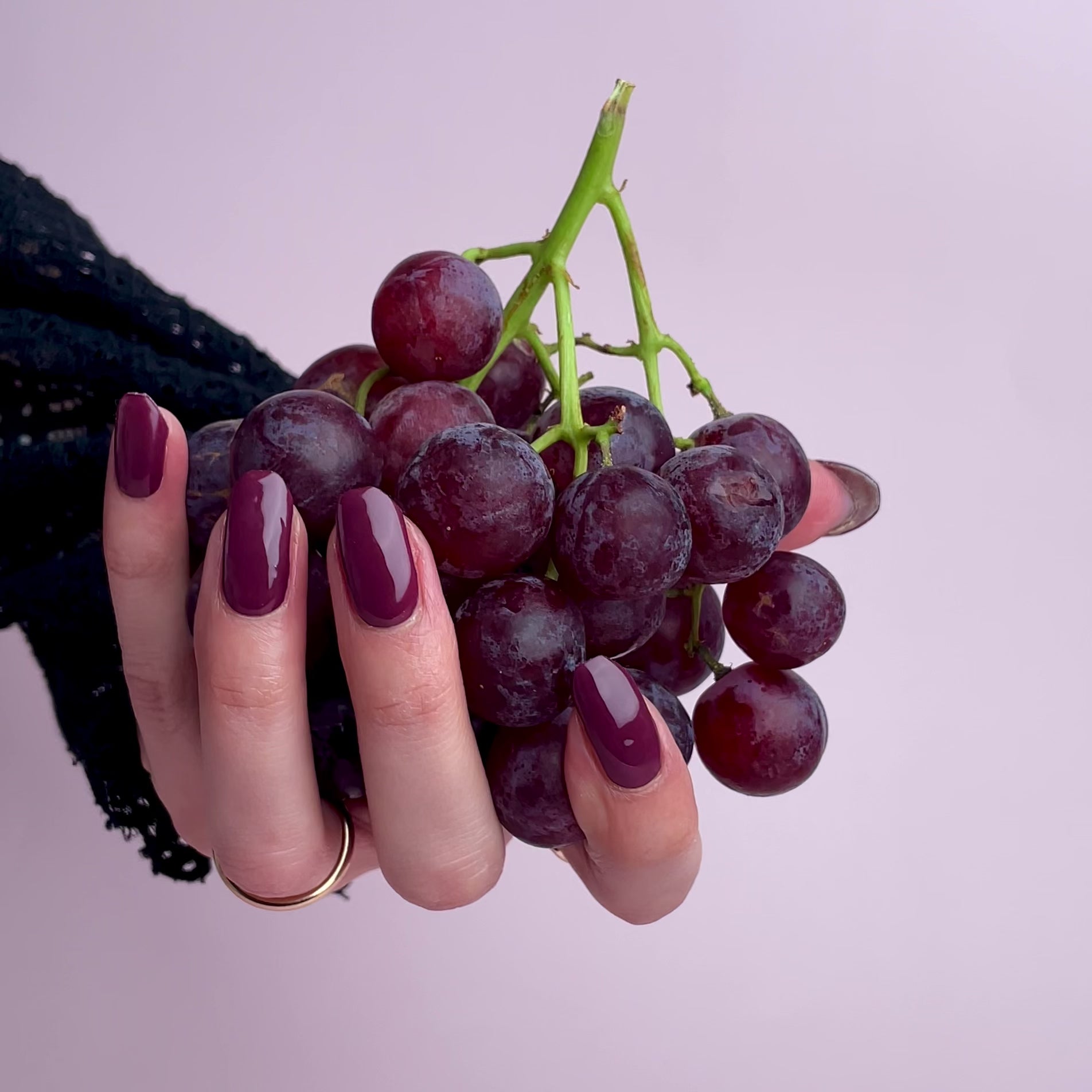 Video laden: Merlot Magic