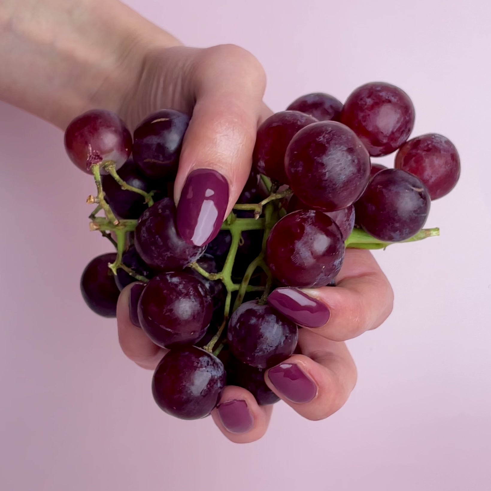 Video laden: Merlot Magic