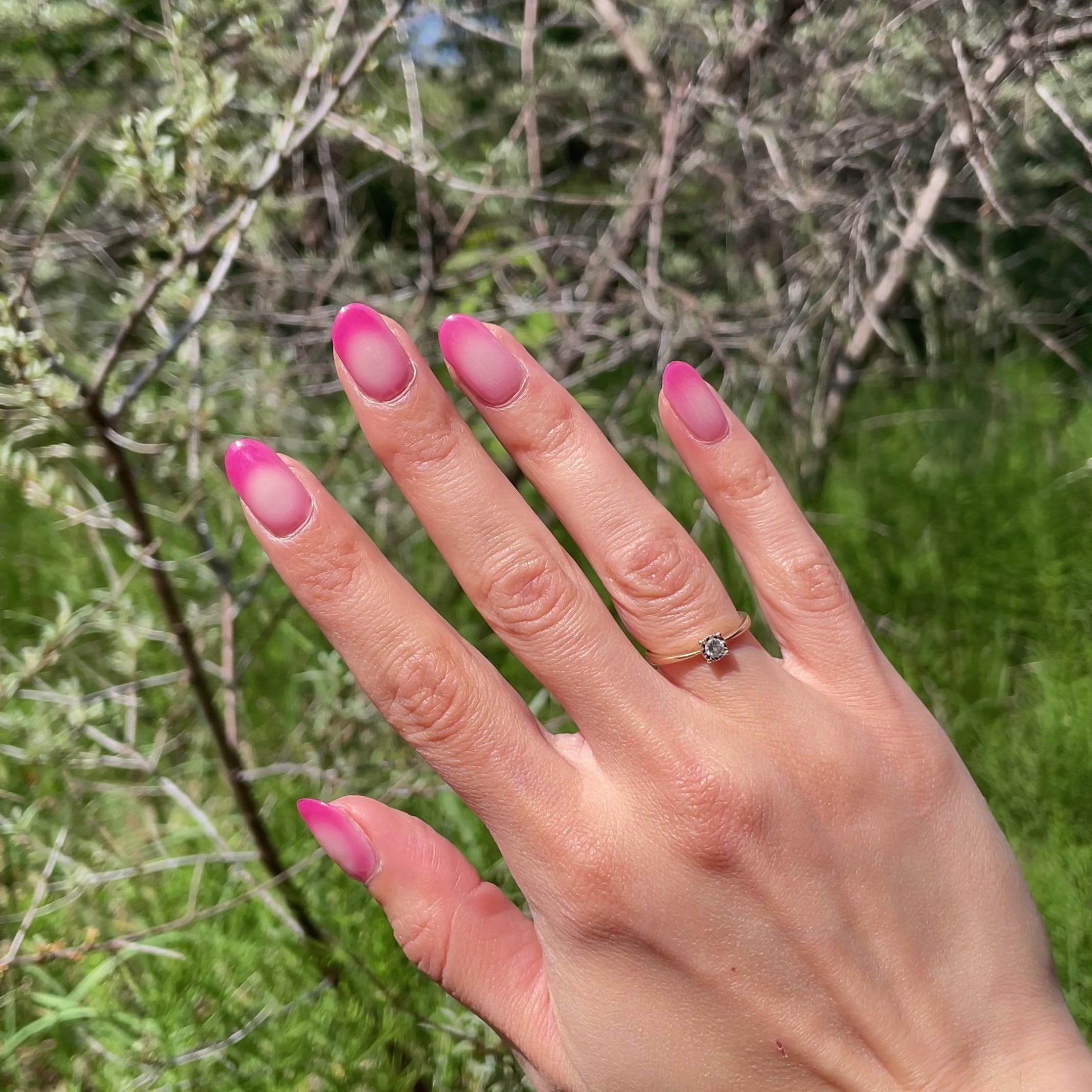 Video laden: Pink Guava